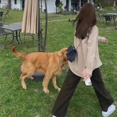 修女伊达